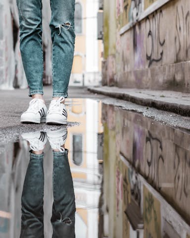 1714988108191378.jpg pexels-paul-voie-2558488.jpg