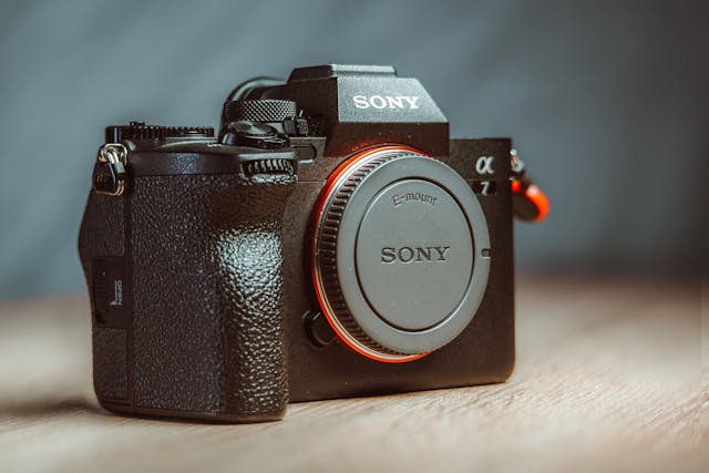 pexels-masoodaslami-19969466.jpg