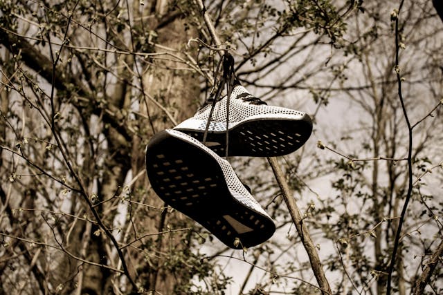1715570580540450.jpg pexels-stripedphotos-998878.jpg