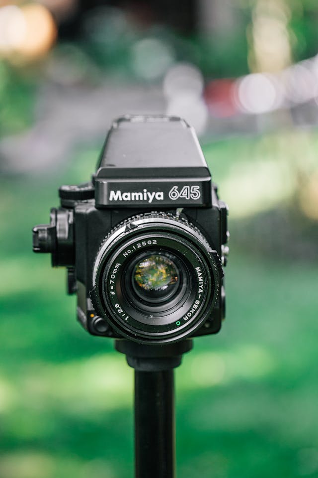 1716522441234980.jpg pexels-balazs-benjamin-299828-872520.jpg