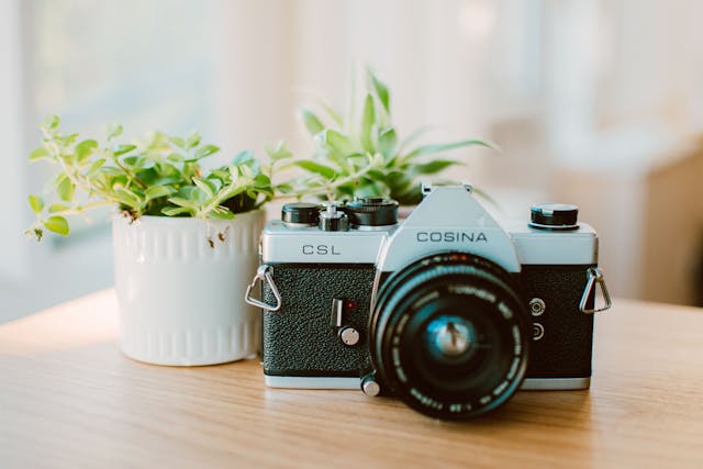 1716873803583887.jpg pexels-fotios-photos-3197217.jpg