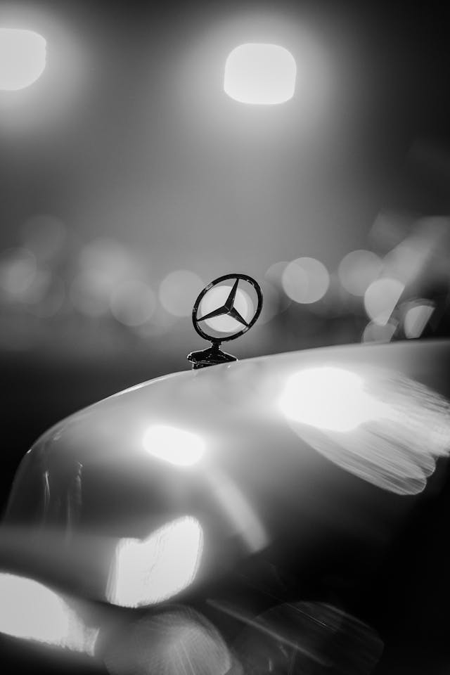 1719453889957731.jpg pexels-fatih-guney-337108406-18794564.jpg