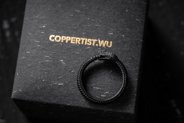 pexels-coppertist-wu-313365563-16095185.jpg